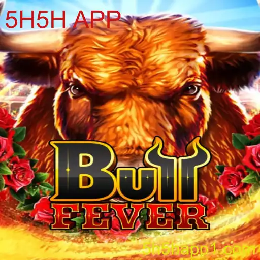 Explorando o Mundo do BullFever: Regras e Dinâmicas